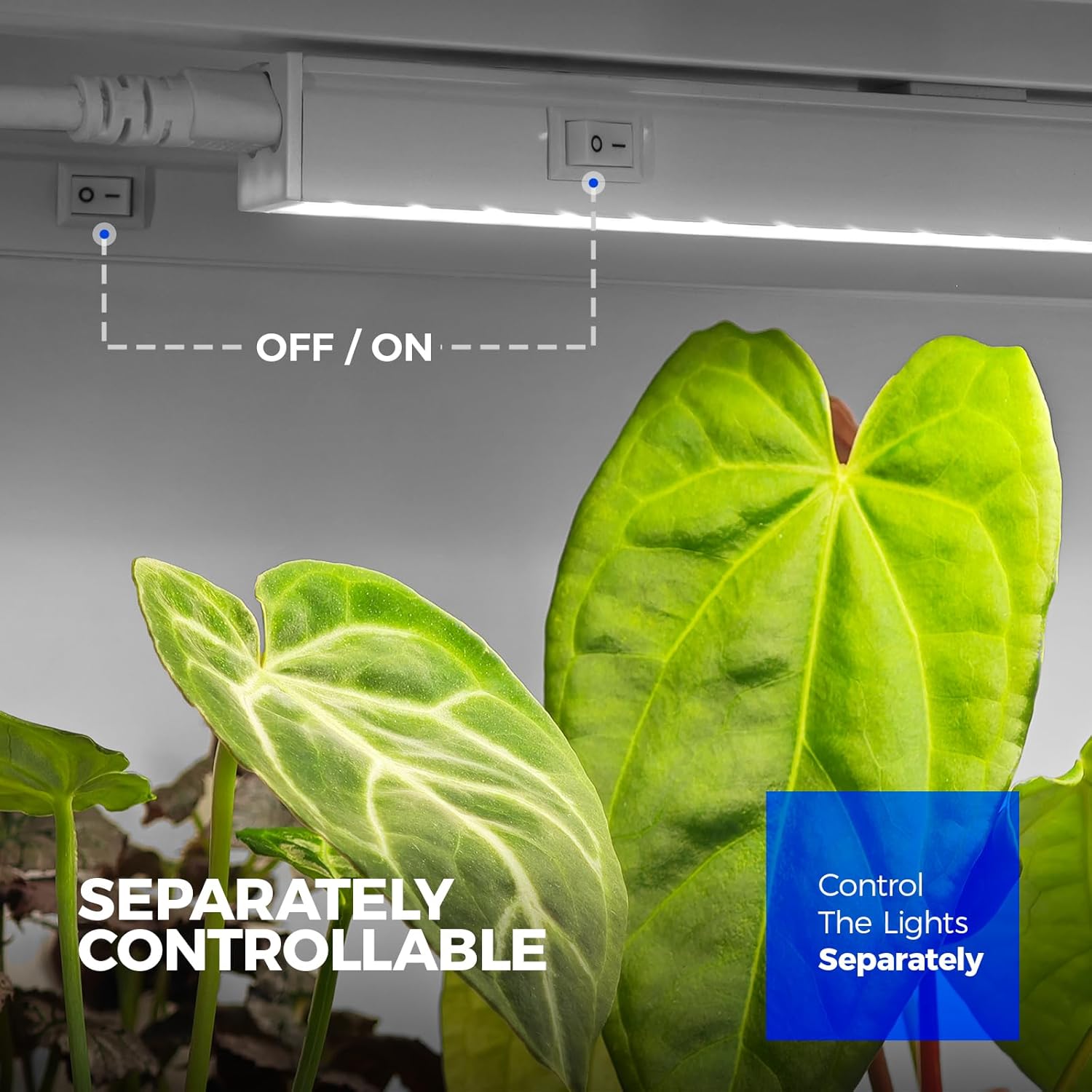 Barrina T5 Grow Lights for Indoor Plants, 3FT 128W (8 X 16W) Full Spectrum Grow Light with Separate Switch, Linkable Grow Lamp, Indoor Plant Lights for Growth, Plug and Play, 5000K, 8 Packs