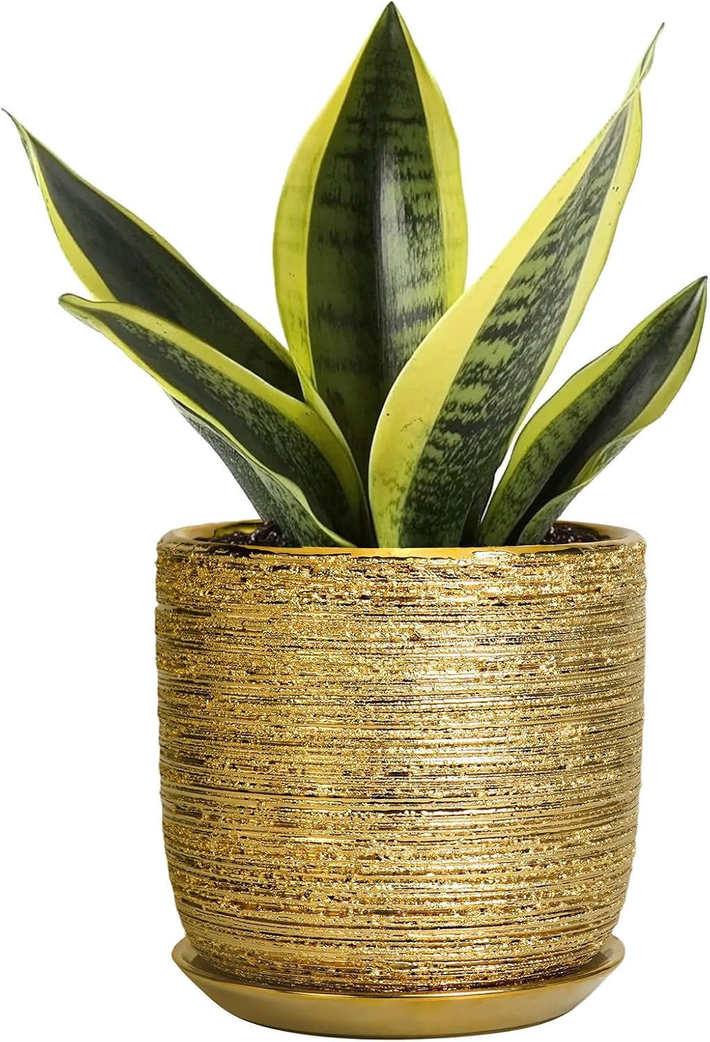 Succulent Pot 5 Inch - Ceramic Plant Pot for Indoor Flowers, Decorative Round Indoor Planter with Drainage Hole and Saucer, Plant Lover Gifts, Patio Office Home Room Decor, Gold