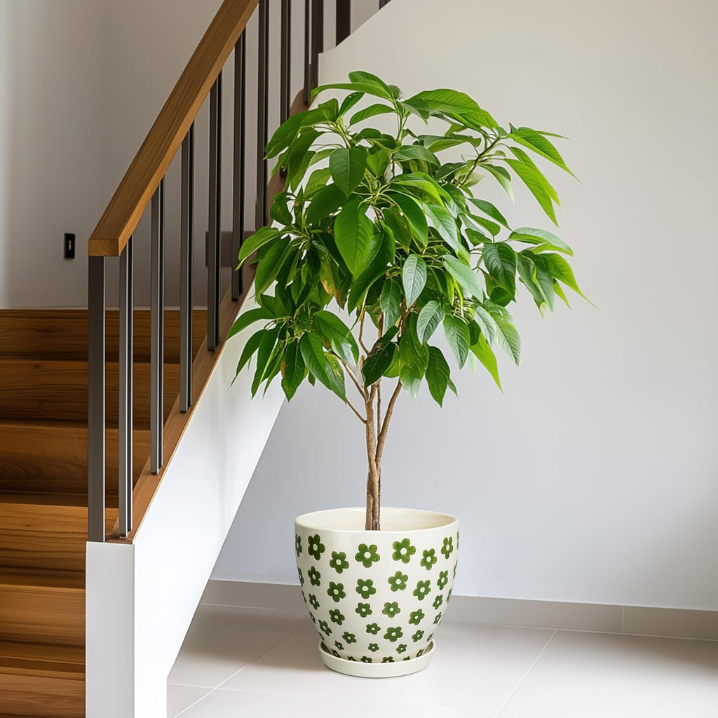 Ceramic Flower Pot - 10 Inch Plant Pot Indoor with Drainage Hole and Saucer, Boho Round Ceramic Planter for Indoor Outdoor Plants, Plant Lover Gifts, Home Garden House Decor, White