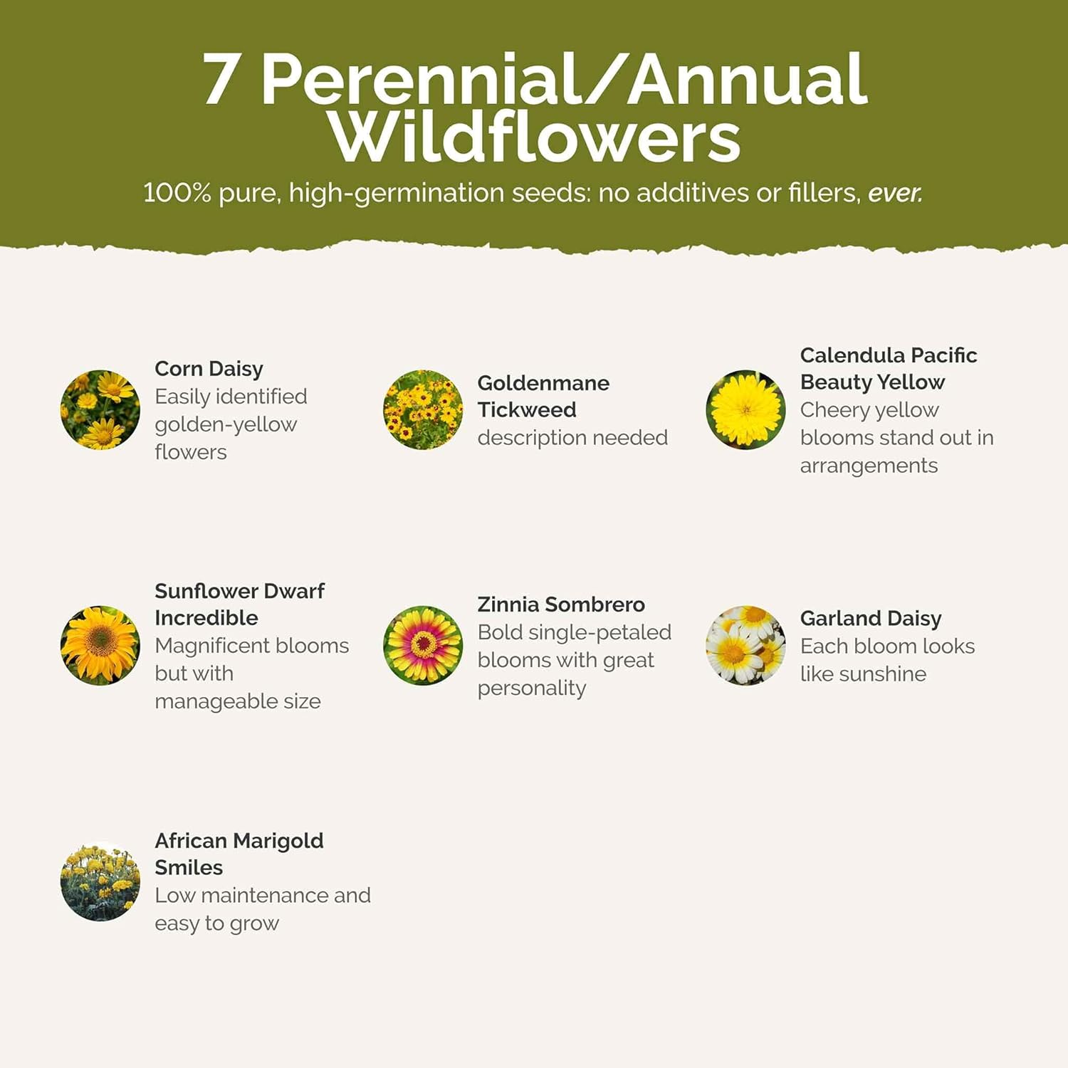 Eden Brothers Mellow Yellow Flower Mixed Seeds for Planting, 1 lb, 480,000+ Seeds with Painted Daisy, Zinnia, Cosmos | Attracts Pollinators, Plant in Spring or Fall, Zones 3, 4, 5, 6, 7, 8, 9, 10