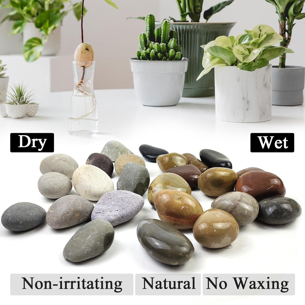 Natural River Rocks, 2-3 Inch River Rocks for Landscaping, Mixed Colors Stones for Plants, Flower Beds, Indoor Fountains, Gardens, Paths, Backyards, Fish Tank and Plantations(40lbs Bulk)