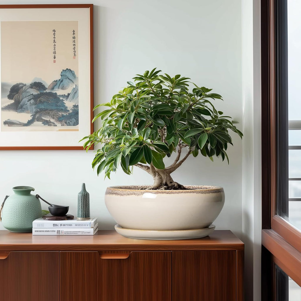 SQOWL Bonsai Pots 12 Inch - Large Ceramic Succulent Planters, Shallow Planter with Drainage Hole and Saucer, Round Bowl Planter for Indoor Outdoor Plants, Home Decor, Plant Lover Gifts, Beige