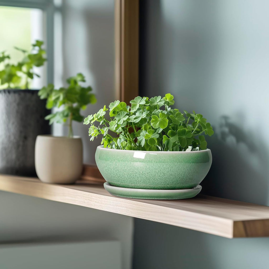 SQOWL Bonsai Planter - 8 Inch Ceramic Succulent Planters for Indoor Plants Outdoor, Shallow Round Planter with Drainage Hole and Saucer, Ceramic Bowl Planters, Home Decor, Birthday Gifts, Green