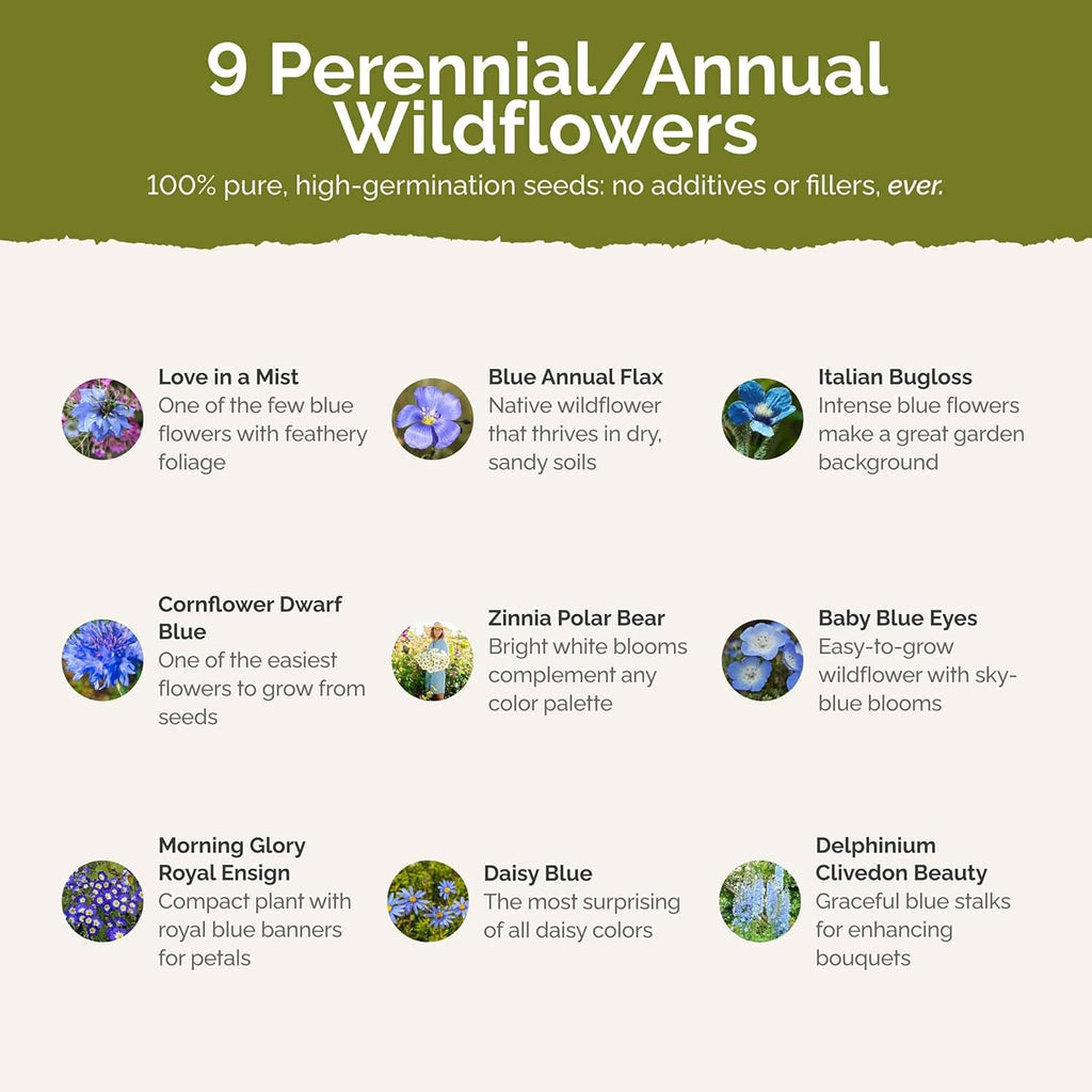 Eden Brothers Blue Ribbon Flower Mixed Seeds for Planting, 5 lb, 2,400,000+ Seeds with Blue Bell, Cornflower Blue, Chicory, Attracts Pollinators, Plant in Spring or Fall, Zones 3, 4, 5, 6, 7, 8, 9, 10