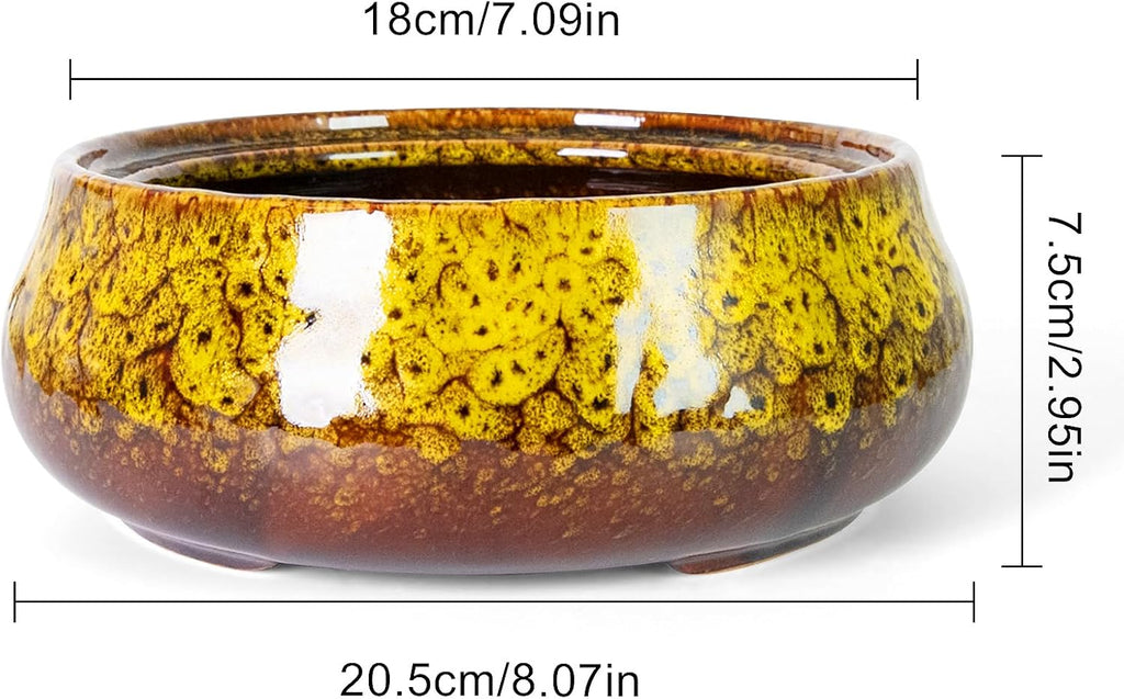 ARTKETTY Succulent Pots - 8 Inch Plant Pot, Large Bonsai Pots with Drainage, Ceramic Planters for Indoor Outdoor Plants, Round Shallow Cactus Flower Plant Container Bowl Decorative Home Garden