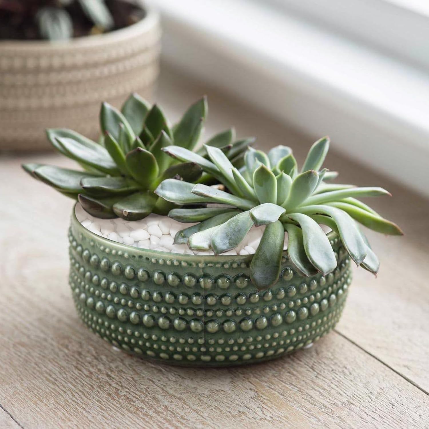 5 LB White Pebbles for Plants, 3/8 inch White Rocks for Vases Landscaping, Small Decorative Stones for Indoor Outdoor, Polished