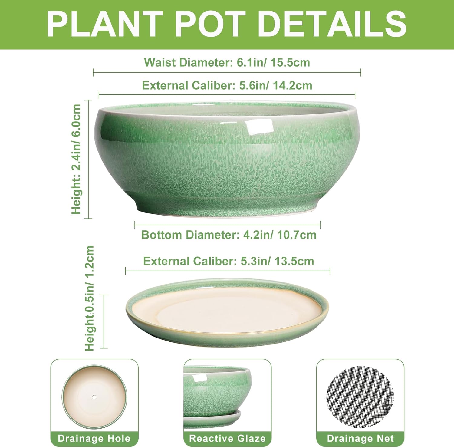 SQOWL Succulent Pots 6 Inch - Ceramic Bonsai Planter for Indoor Plants Outdoor, Shallow Planter with Drainage Hole and Tray, Round Planters for Cactus Flower, Office Decor, Gardening Gifts, Green