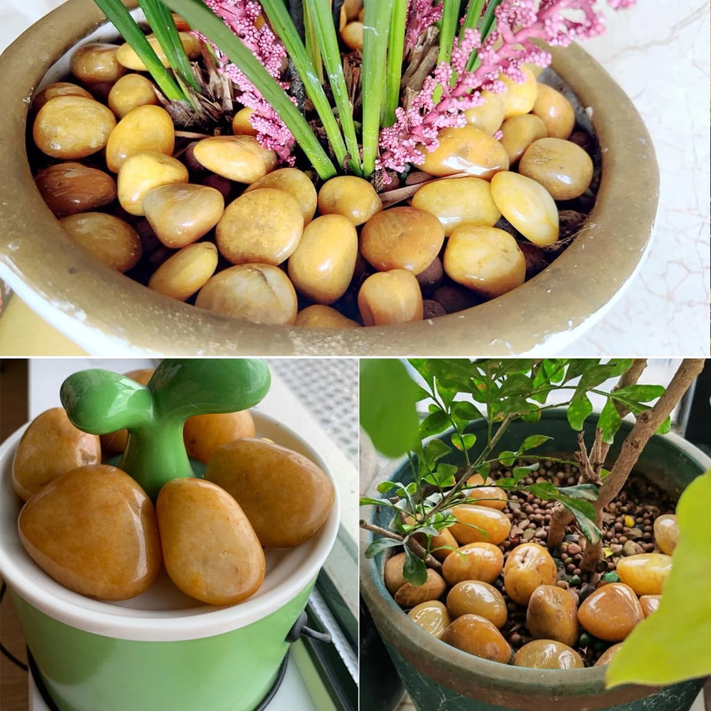 10lbs Yellow River Rocks, 2-3 Inch Natural Pebbles for Indoor Plants, High Polished Decorative Stones Vase Filler Fish Tank Aquariums Landscaping Garden