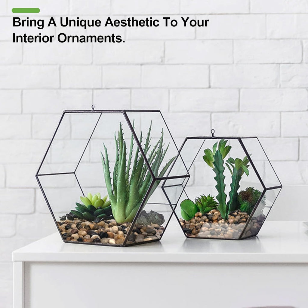 10 lbs Pebbles for Indoor Plants, Succulent, Bamboo, Vase, 3/8" Plant Rocks for Pots Indoor, Small River Rocks Decorative Pea Gravel, Highly Polished