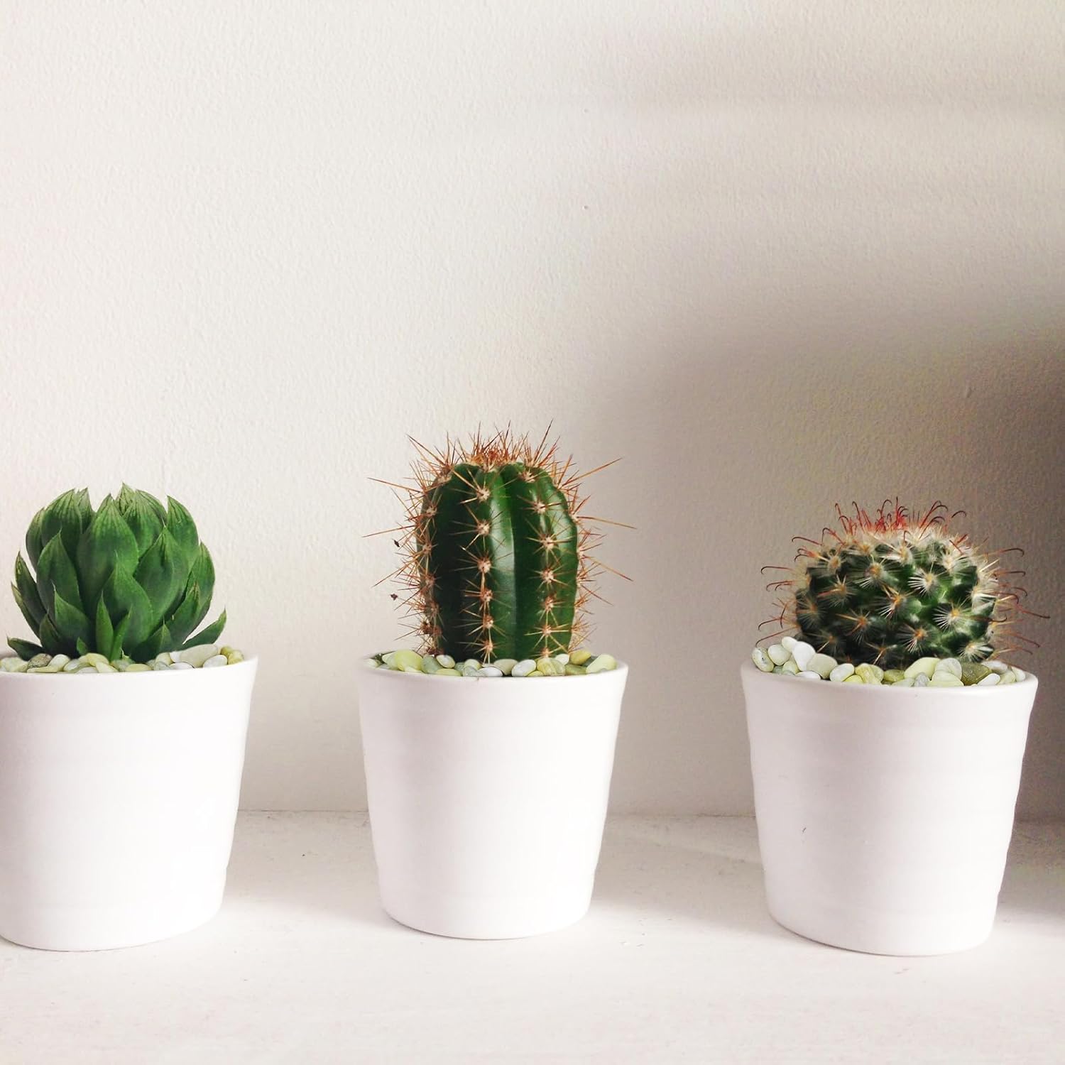 2.5 lbs Jade Pebbles for Indoor Plants, Decorative Pebbles for Bamboo, Vase, 3/8" Plant Gravel for Pots Indoor, Highly Polished Small River Rocks