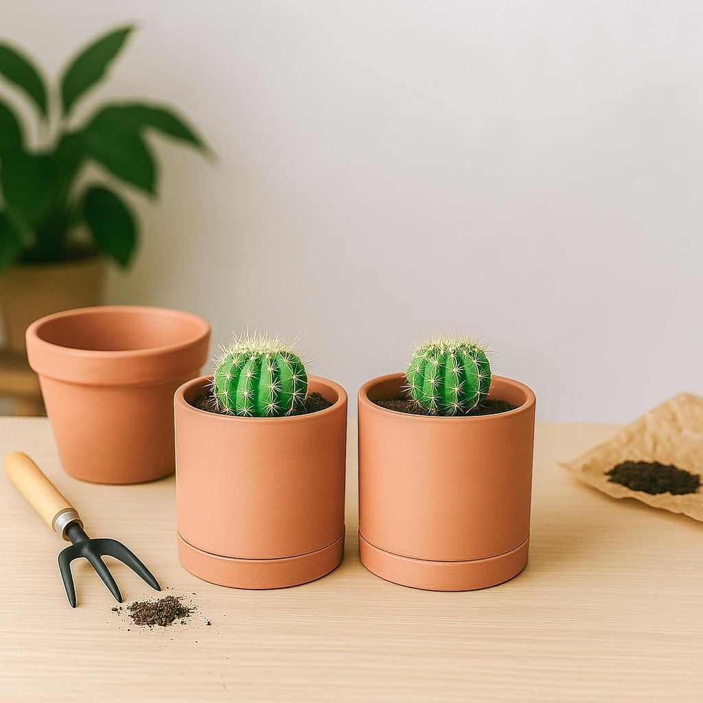 D'vine Dev X-Small 4 Inch Terracotta Plant Pot with Drainage Hole and Saucer, Round Cylinder Planter Pot for Indoor Plants, Set of 2, 40-X-B-1