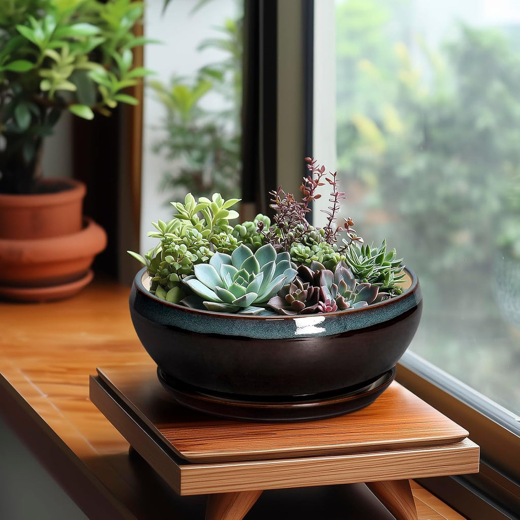 SQOWL Succulent Planters 8 Inch - Ceramic Bonsai Pots with Drainage Hole and Ceramic Saucer, Round Shallow Planter for Indoor Plant, Bowl Planter Outdoor, Desk Decor, Gift for Plant Lover, Blue-Brown