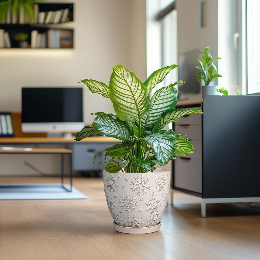 10 Inch Ceramic Planter Pot Large Plant Pot for Indoor Plants Outdoor Round Flower Pot with Drainage Hole and Saucer for Home Garden Decor White