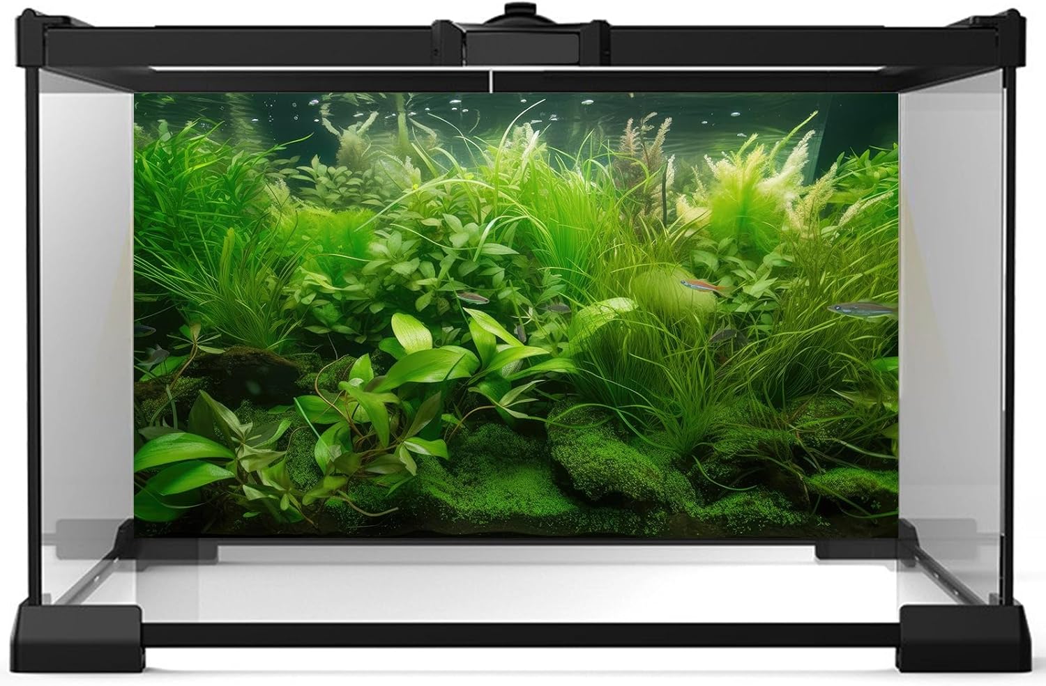 Aquarium Background Diverse Collection of Aquatic Plants Seagrasses Terrarium Background Redwood Root Moss Tropical Style Underwater Lush Green Plants Fish Tank Background Wallpaper Poster 36x24in
