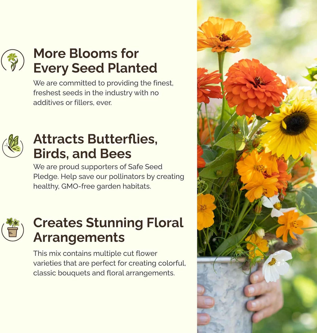 Eden Brothers Sunset Flower Mixed Seeds for Planting, 1 lb, 480,000+ Seeds with Cosmos, Zinnia, Sunflower, Corn Marigold | Attracts Pollinators, Plant in Spring or Fall, Zones 3, 4, 5, 6, 7, 8, 9, 10