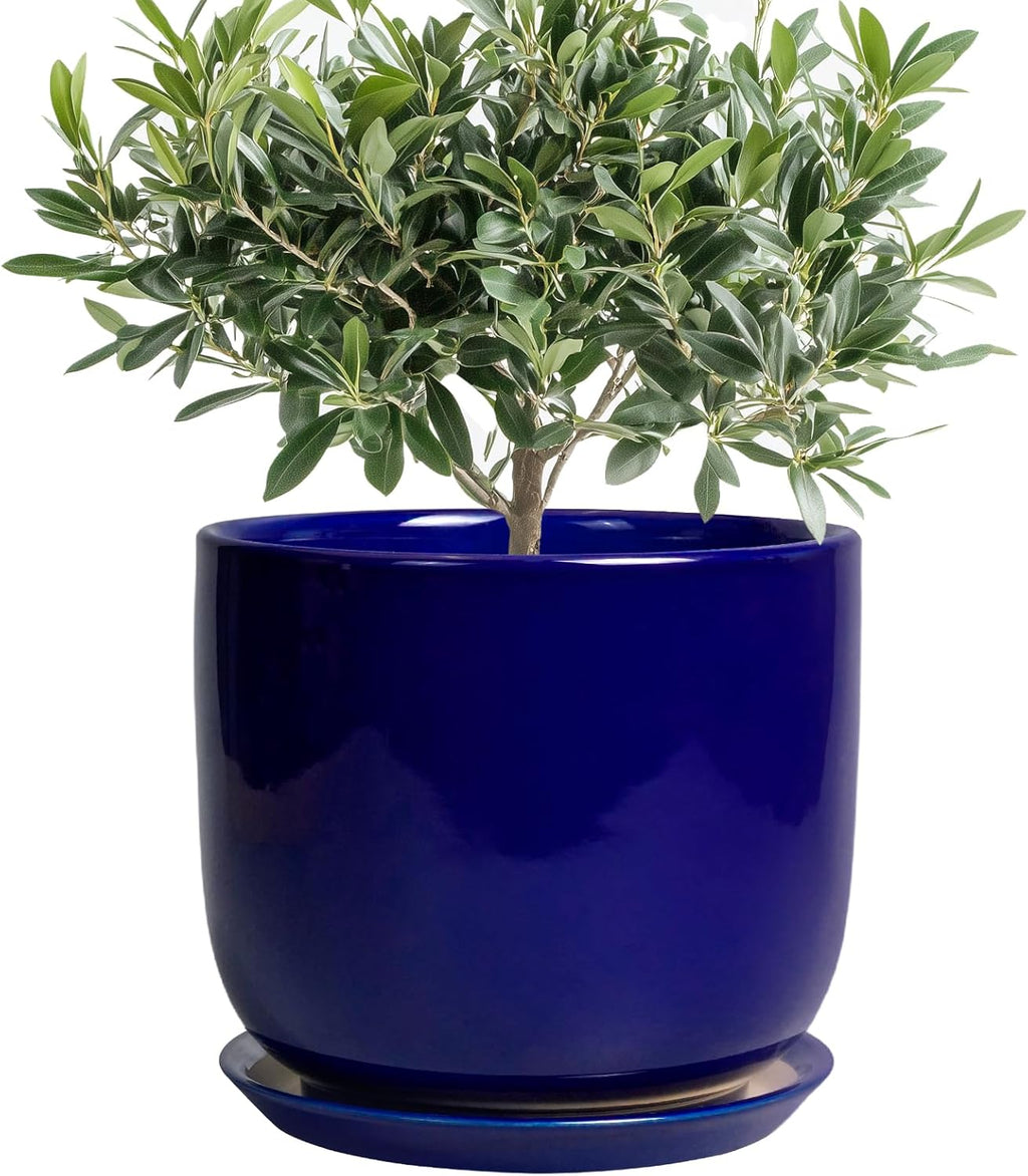 8 Inch Ceramic Plant Pot - Decorative Round Planter for Indoor Plants with Drainage Hole and Saucer, Home House Room Office Garden Decor, Blue