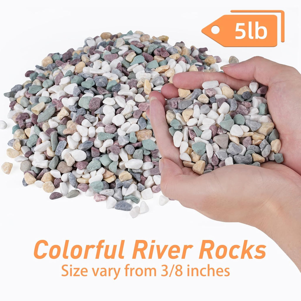 5 lbs Pea Gravel for Plants, Aquarium, Fish Tank, 3/8 inch Decorative Pebbles for Indoor Plants, Succulent, Bamboo, Vase, Drainage Rocks for Potted Plants, Top Dressing, Mixed Color