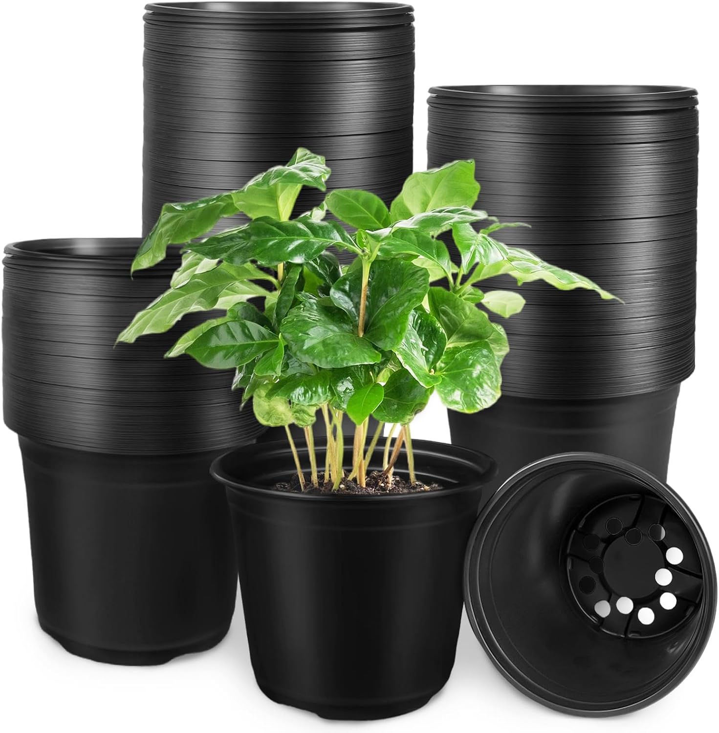Anyumocz 120Pcs 0.5 Gallon Plant Nursery Pots,Plastic Pots with Drainage Holes,Garden Flower Container Seedling Pot for Planting,Transplanting,Succulents,Cuttings(Black)