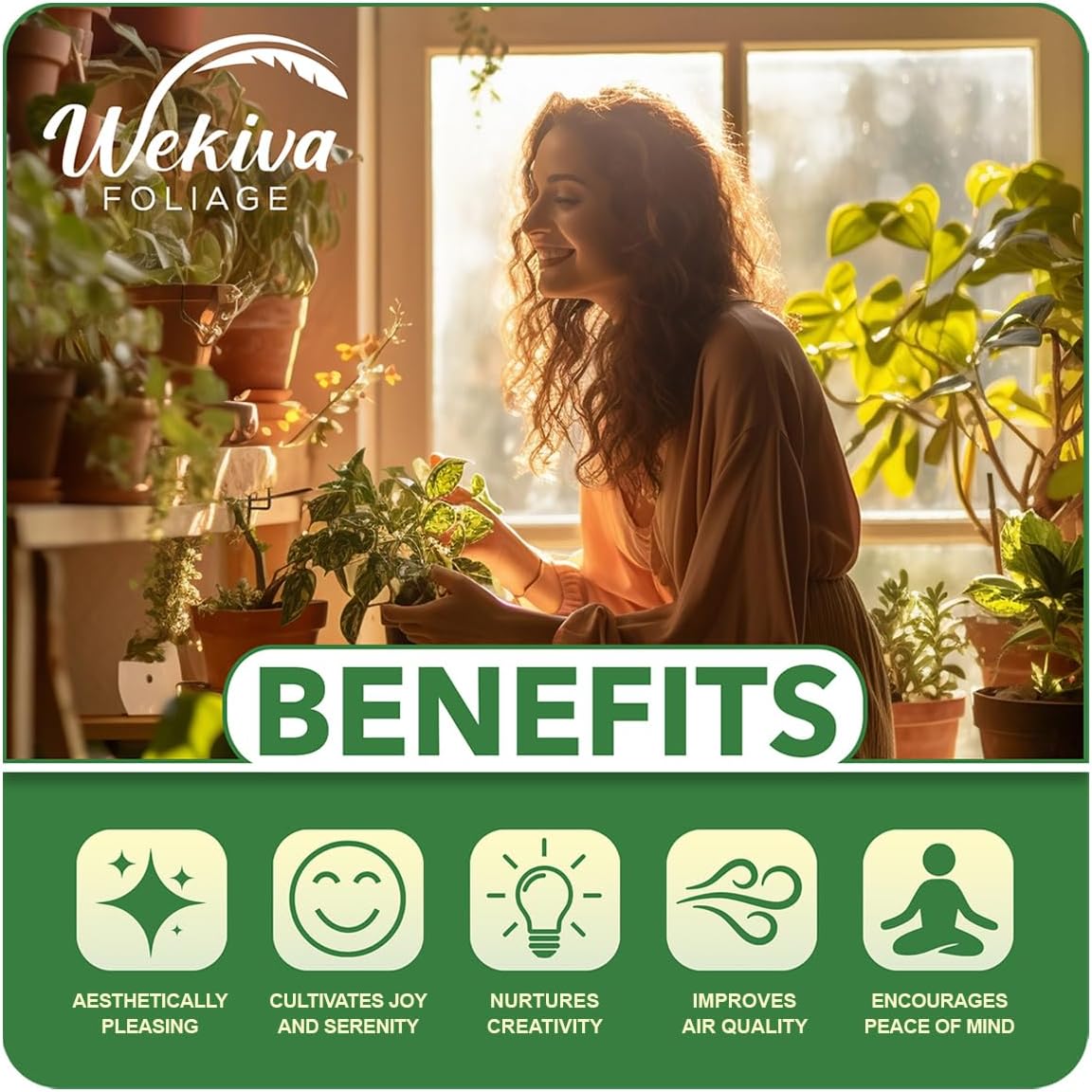 Yellow Long Neck Fig Tree - 4 Live Starter Plants - Ficus Carica - Edible Fruit Tree for The Patio and Garden