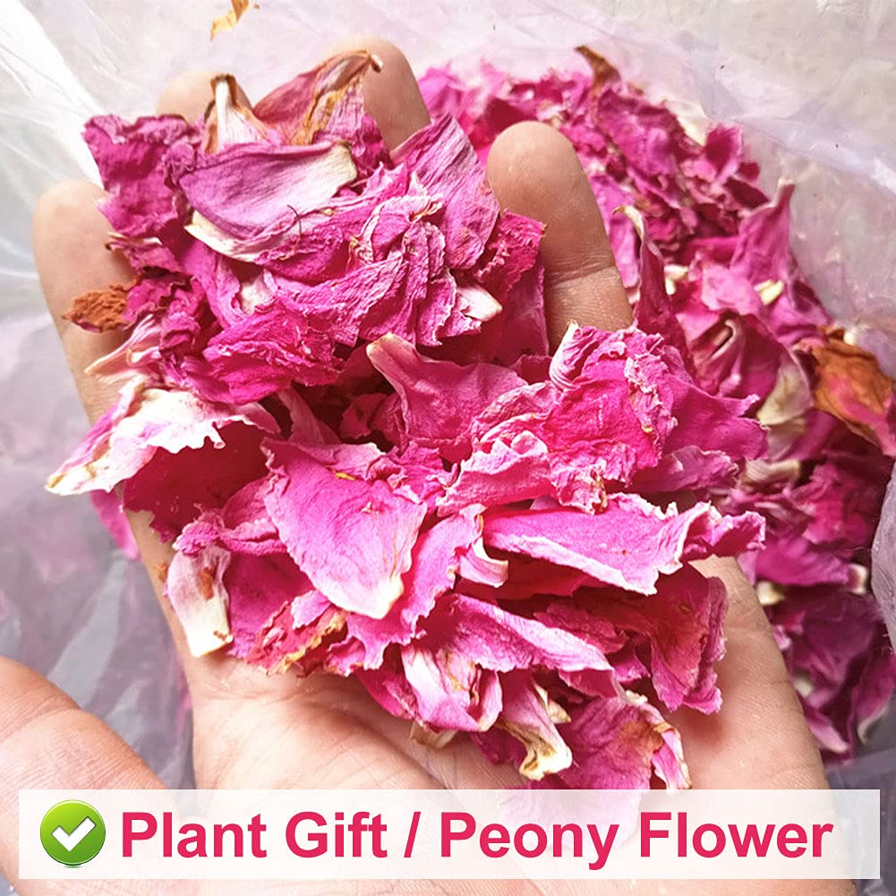 Plant Gift Peony Flower Petals 30G/1.05oz 芍药花 Herbaceous Peony Tea, Pure Herbal Tea, Peach Blossom Tea, Caffeine-Free, No GMOs, Chinese Tea