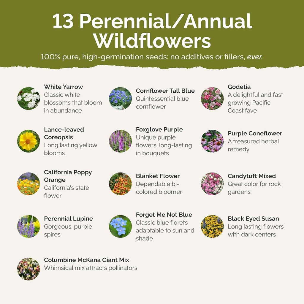 Eden Brothers Deer Resistant Wildflower Mixed Seeds for Planting, 10 lb, 4,800,000+ Seeds with Foxglove, Forget Me Not | Attracts Pollinators, Plant in Spring or Fall, Zones 3, 4, 5, 6, 7, 8, 9, 10