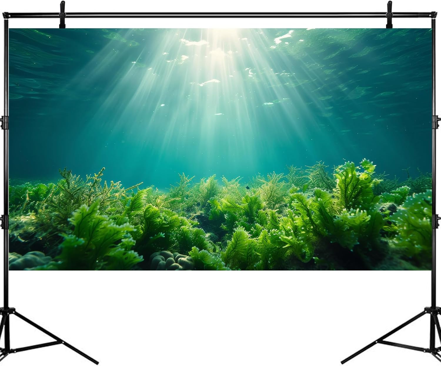 Deep Ocean Fish Tank Background Under The Sea Aquatic Plants Aquarium Background Underwater Corals Sunray Terrarium Backgrounds Tropical Fish Ocean World Aquarium Backgrounds Decorations 48x24in