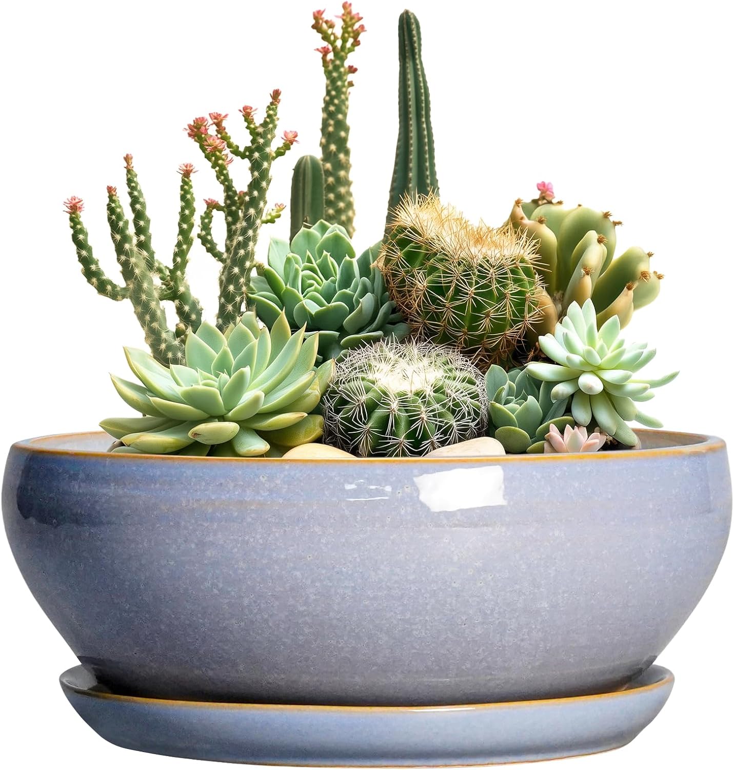 SQOWL Succulent Pots - 10 Inch Ceramic Bonsai Pots with Drainage Hole and Saucer, Round Shallow Planter for Indoor Outdoor Plants, Ceramic Planter Bowl, Home Decor, Gardening Gifts, Blue