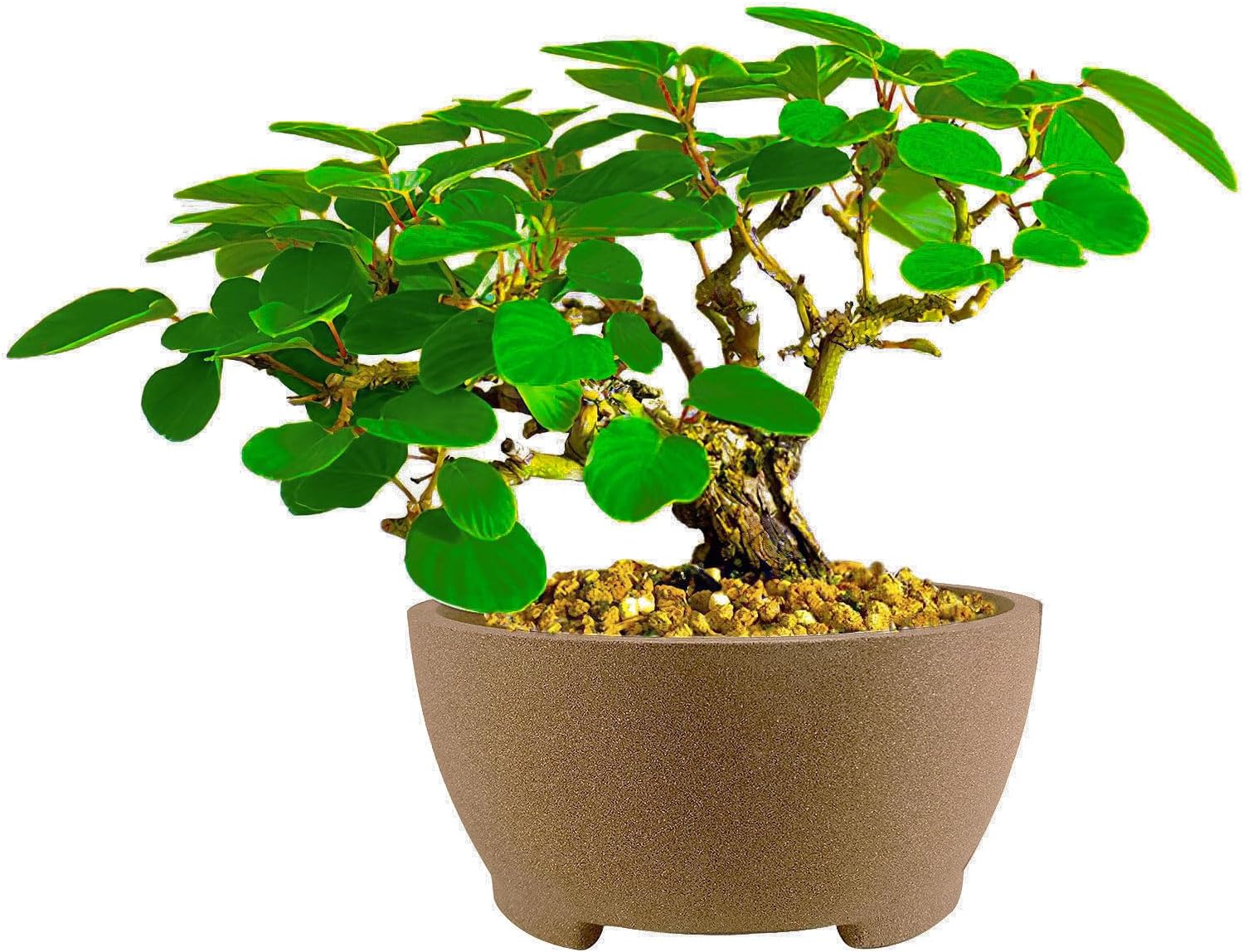 Round Unglazed Bonsai Pots with Drainage Holes 7” Breathable Planter Sand-Textured Short Legs Large Bonsai Tree Pots Ceramic for Indoor Plants Succulent