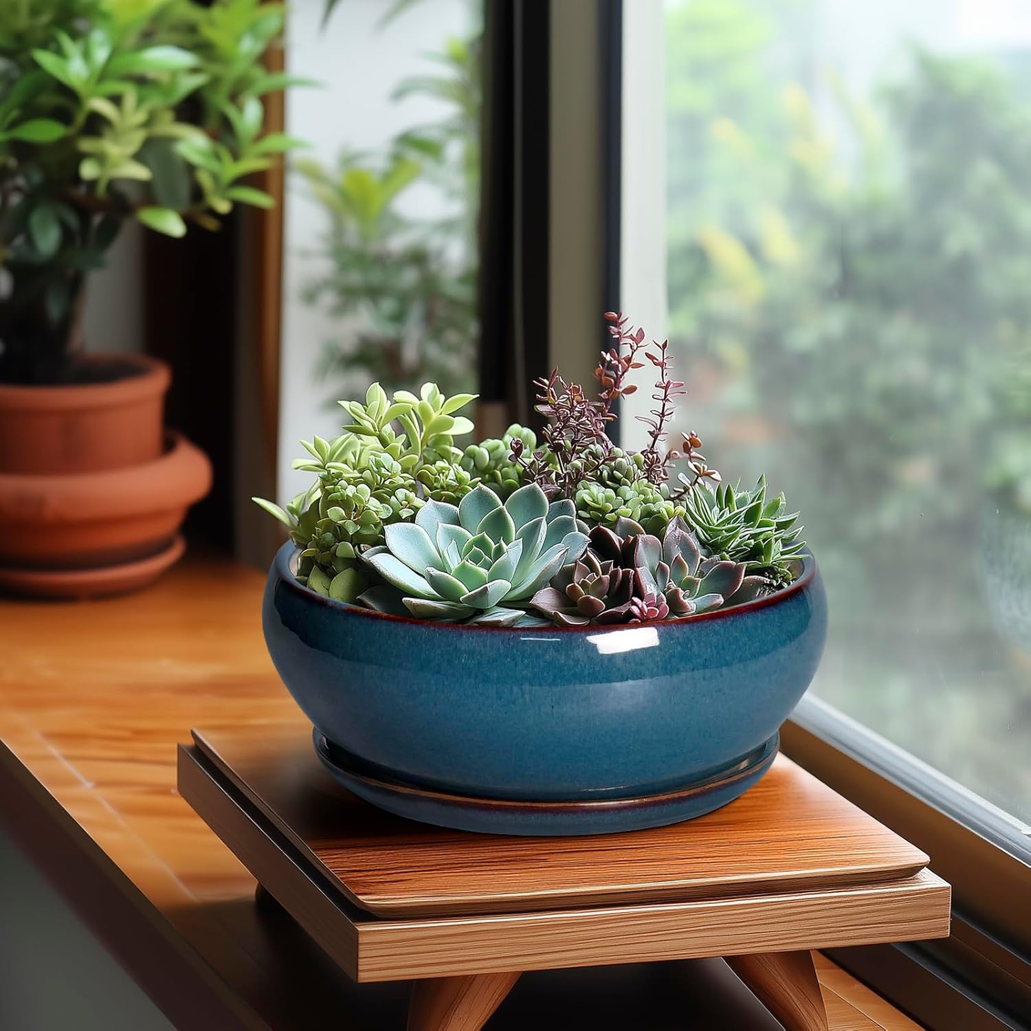 SQOWL Bonsai Pots - 8 Inch Ceramic Succulent Pots with Drainage Hole and Saucer, Round Shallow Planter for Indoor Outdoor Plants Flowers, Ceramic Planter Bowl, Room Decor, Gardening Gifts, Blue