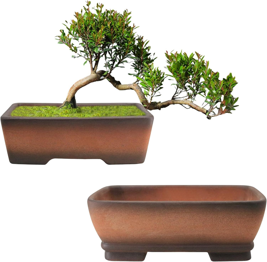 MUZHI 2 Pack Handmade Color Gradational Terracotta Bonsai Pot 5 Inch and 6 Inch with Drip Tray, Breathable Unglazed Rectangle Ceramic Planter for Tree Succulent Cactus