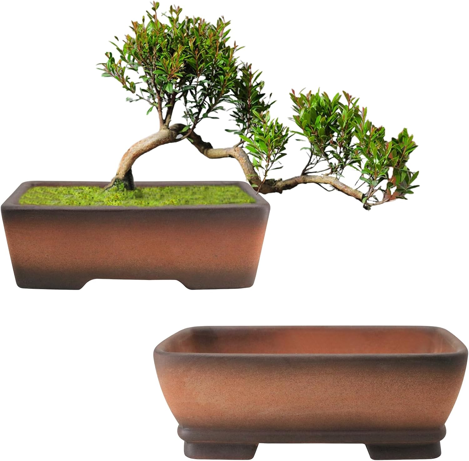 MUZHI 2 Pack Handmade Color Gradational Terracotta Bonsai Pot 5 Inch and 6 Inch with Drip Tray, Breathable Unglazed Rectangle Ceramic Planter for Tree Succulent Cactus