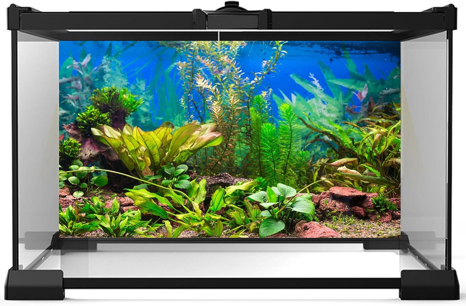 Aquarium Background Various Underwater Grass Plants Fish Tank Background Vivid Green Aquatic Plants Terrarium Backdrop Stone River Bed Dead Wood Purple Stone Fish Tank Wallpaper 48x24in
