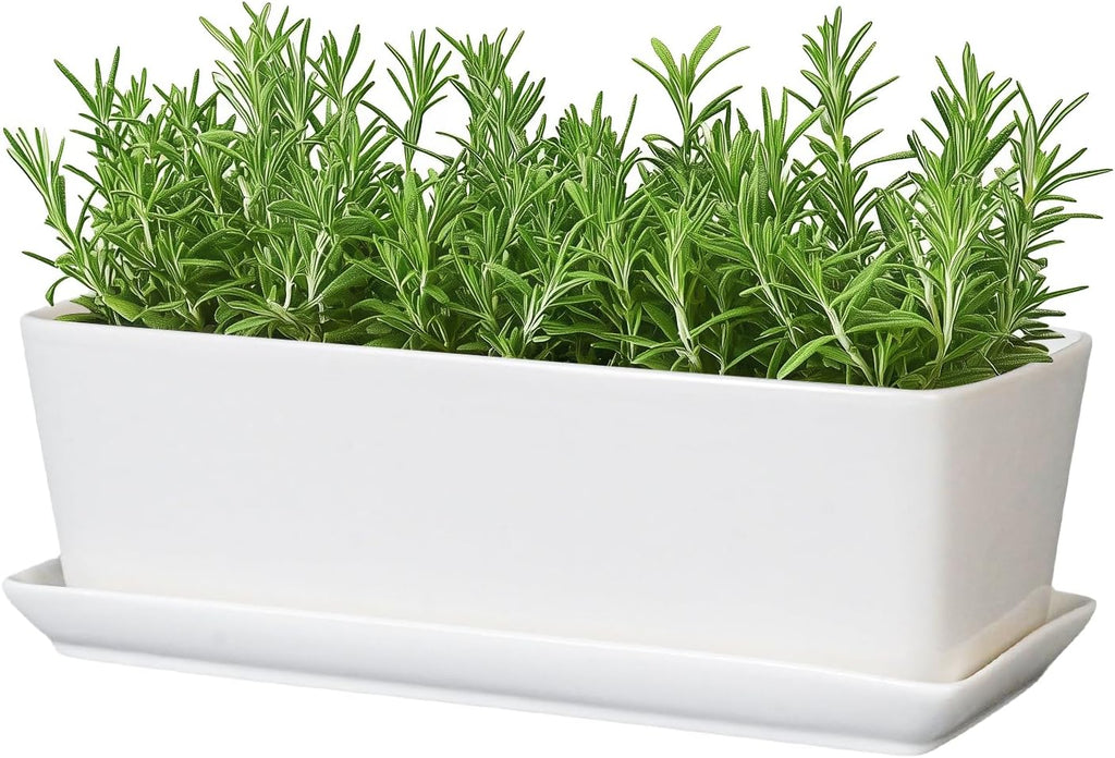 SQOWL Rectangular Planter - 10 Inch Ceramic Pots for Plants with Drainage Hole and Saucer, Succulent Pots for Indoor Outdoor, Cactus Herb Flower Planter, Home Decor, Gifts for Plant Lovers, White