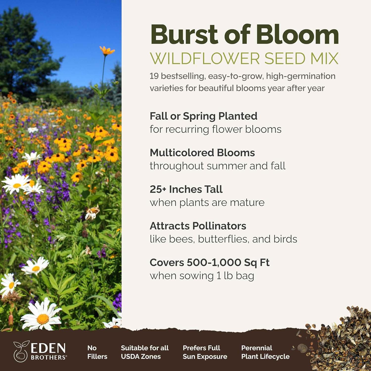 Eden Brothers Burst of Bloom Wildflower Mixed Seeds for Planting, 1 lb, 480,000+ Seeds with Cosmos, Black Eyed Susan | Attracts Pollinators, Plant in Spring or Fall, Zones 3, 4, 5, 6, 7, 8, 9, 10
