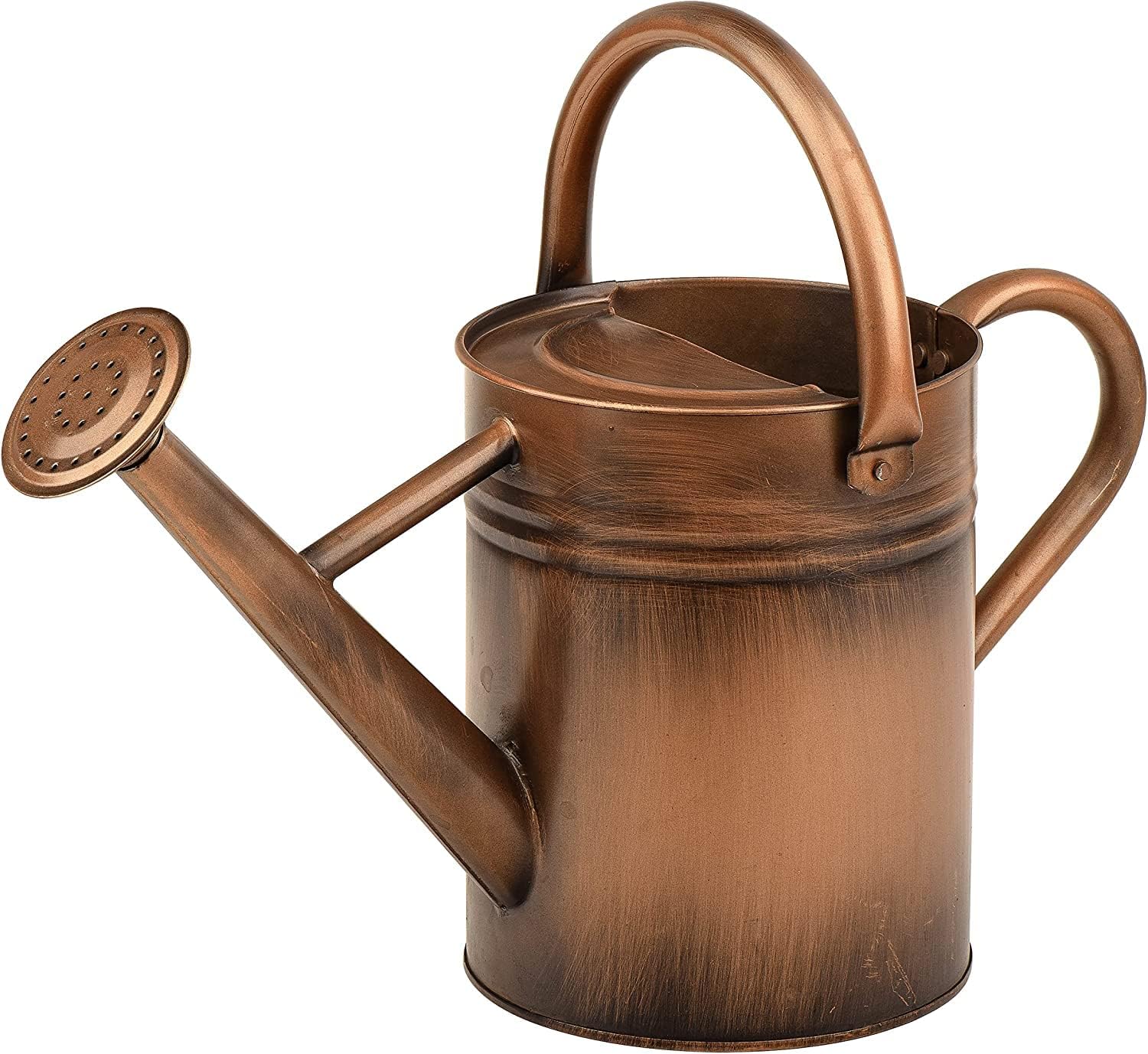 Metal Watering Can for Outdoor and Indoor Plants, Watering Can Decor, 1 Gallon (1 Gallon Copper)