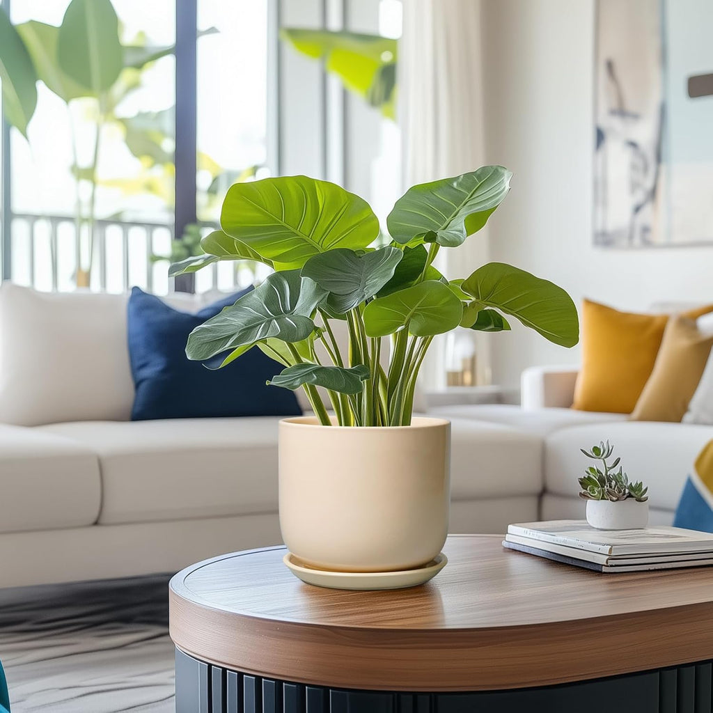 Ceramic Plant Pot - 7 Inch Mid Century Round Ceramic Planter for Indoor Plants with Drainage Hole and Saucer, Modern Home Decor, Yellow