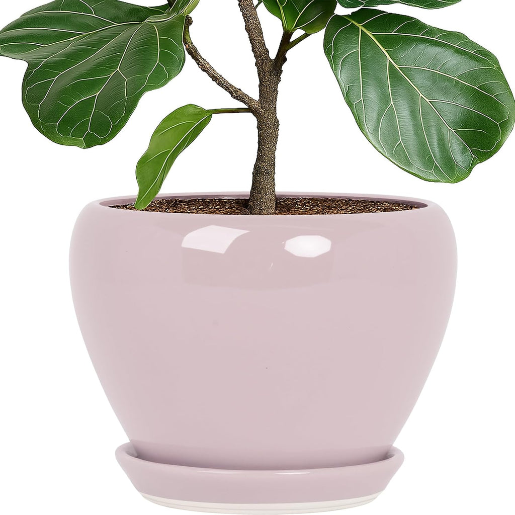 Deep Dream 10 Inch Plant Pot- Ceramic Planter Pot Round Plant Pots for Indoor Plants Outdoor Large Flower Pot with Drainage Holes & Trays, Pink