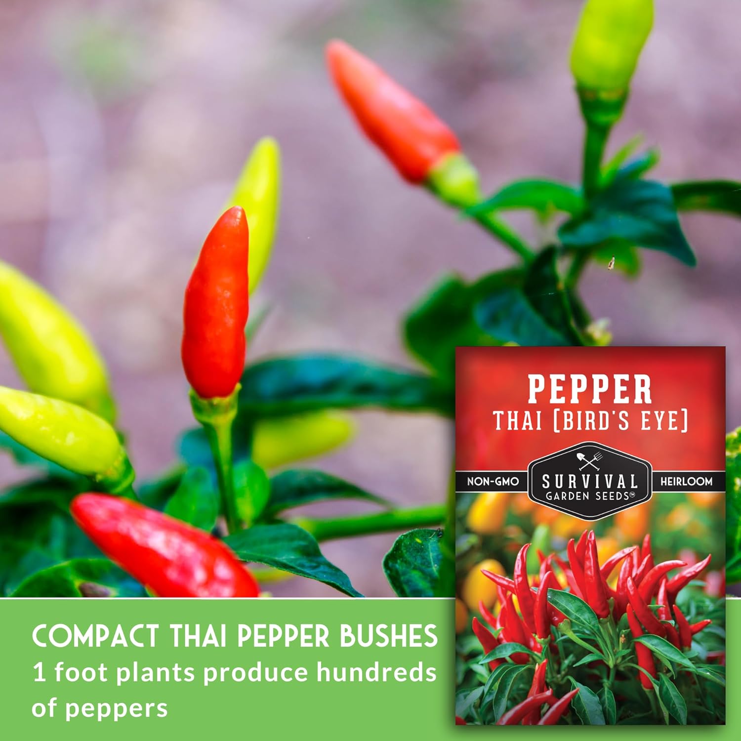 Thai Chili Pepper Seeds for Planting | Heirloom Bird’s Eye Hot Variety – Non-GMO Seeds for Spicy Cooking & Containers – Survival Garden Seeds (3 Packs)