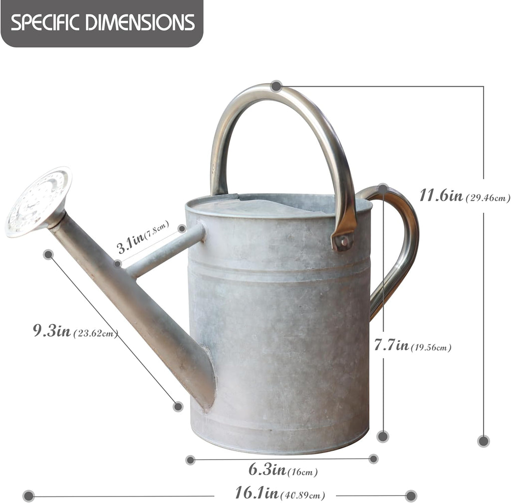 Metal Watering Can for Outdoor and Indoor Plants, Watering Can Decor, 1 Gallon (Zinc Stainless Steel Handle)