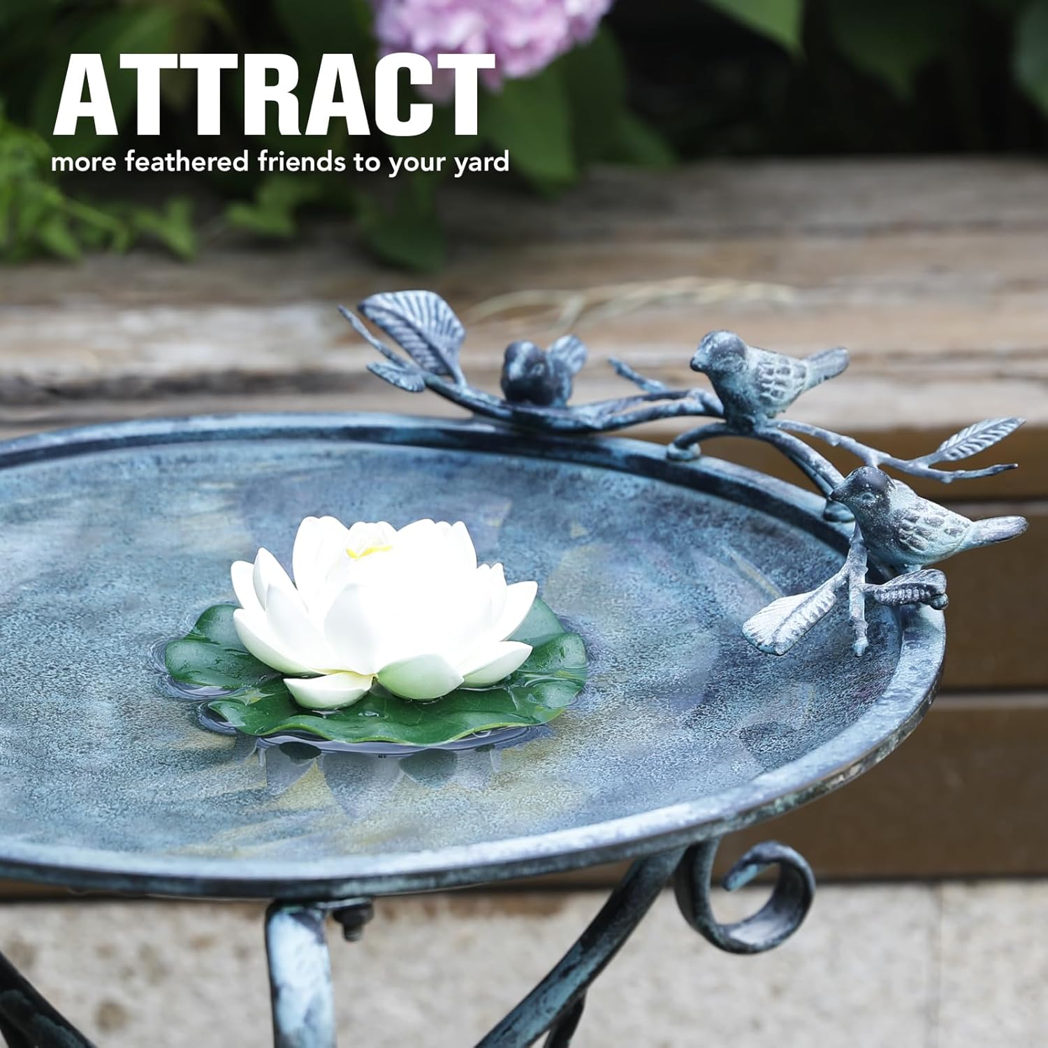 Solution4Patio 16.7" Metal Bird Bath with Perch - Rust-Resistant Outdoor Garden Decor, Shallow Wide Bowl & Foldable Stand for Birds/Plants