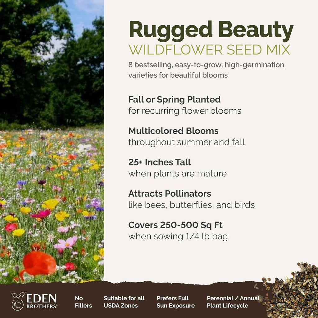 Eden Brothers Rugged Beauty Flower Mixed Seeds for Planting, 1/4 lb, 120,000+ Seeds with Cornflower Tall Blue, Candytuft | Attracts Pollinators, Plant in Spring or Fall, Zones 3, 4, 5, 6, 7, 8, 9, 10