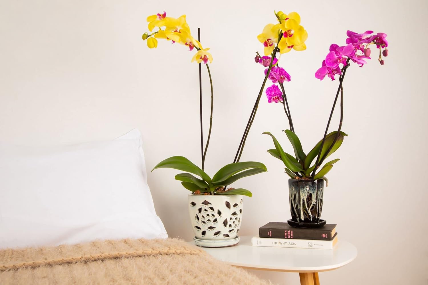 rePotme Orchid Fertilizer - Feed ME! MSU Orchid Food - RO/Rain/Tap Water - 16 oz Jar