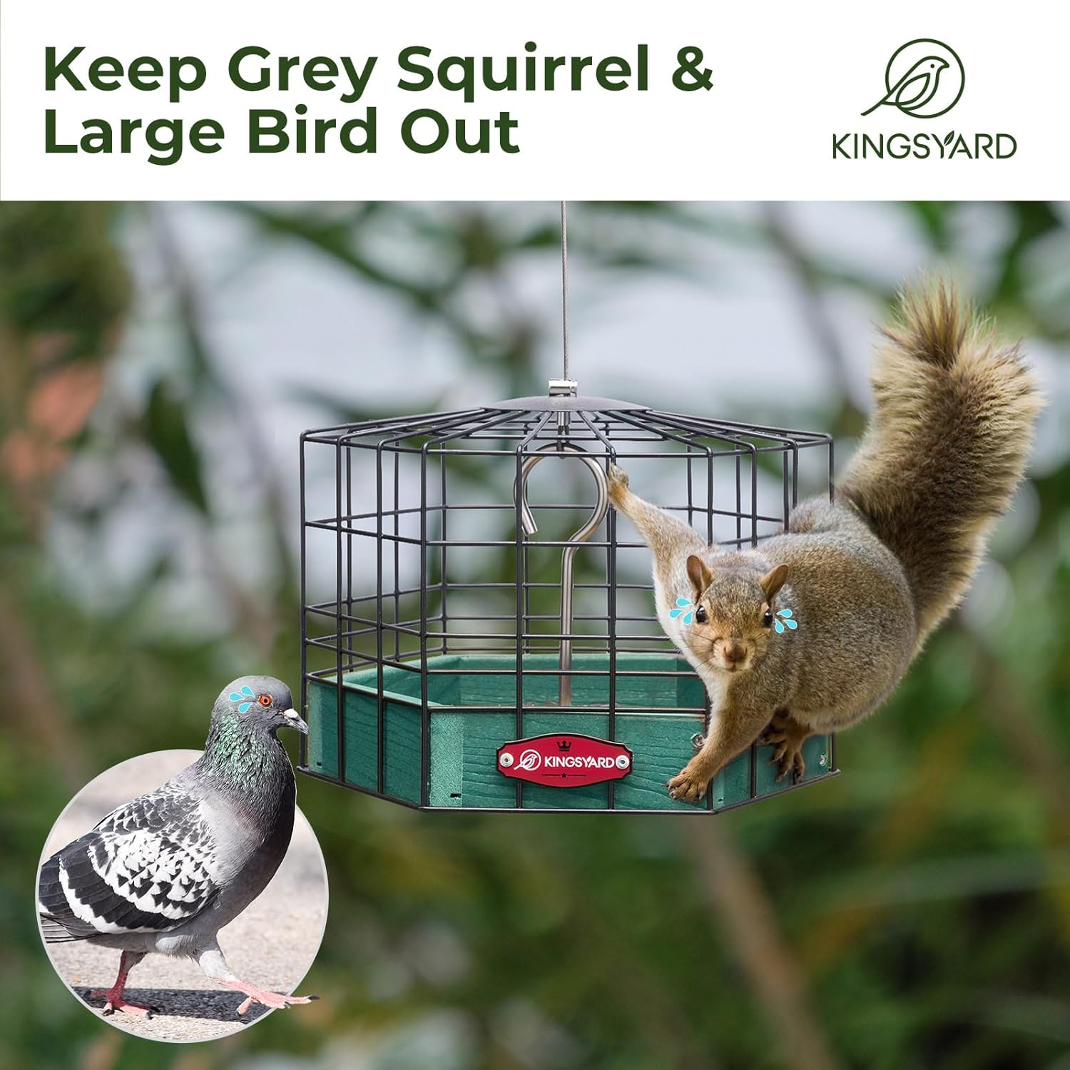Kingsyard Squirrel Proof Platform Bird Feeders for Outdoor Hanging, Caged Bird Feeder for Small Wildbirds, Recycled Plastic Feeding Platform with Metal Seed Tray, Green