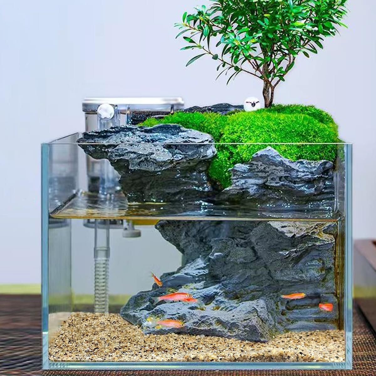 5lbs Aquarium Gravel, 1/8"(2-4mm) Natural River Rocks Succulent Cactus Pea Gravel for Plants, Fish Tank, Decorative Pebbles for Gardening, Flower Pots, Vase Fillers, Landscaping