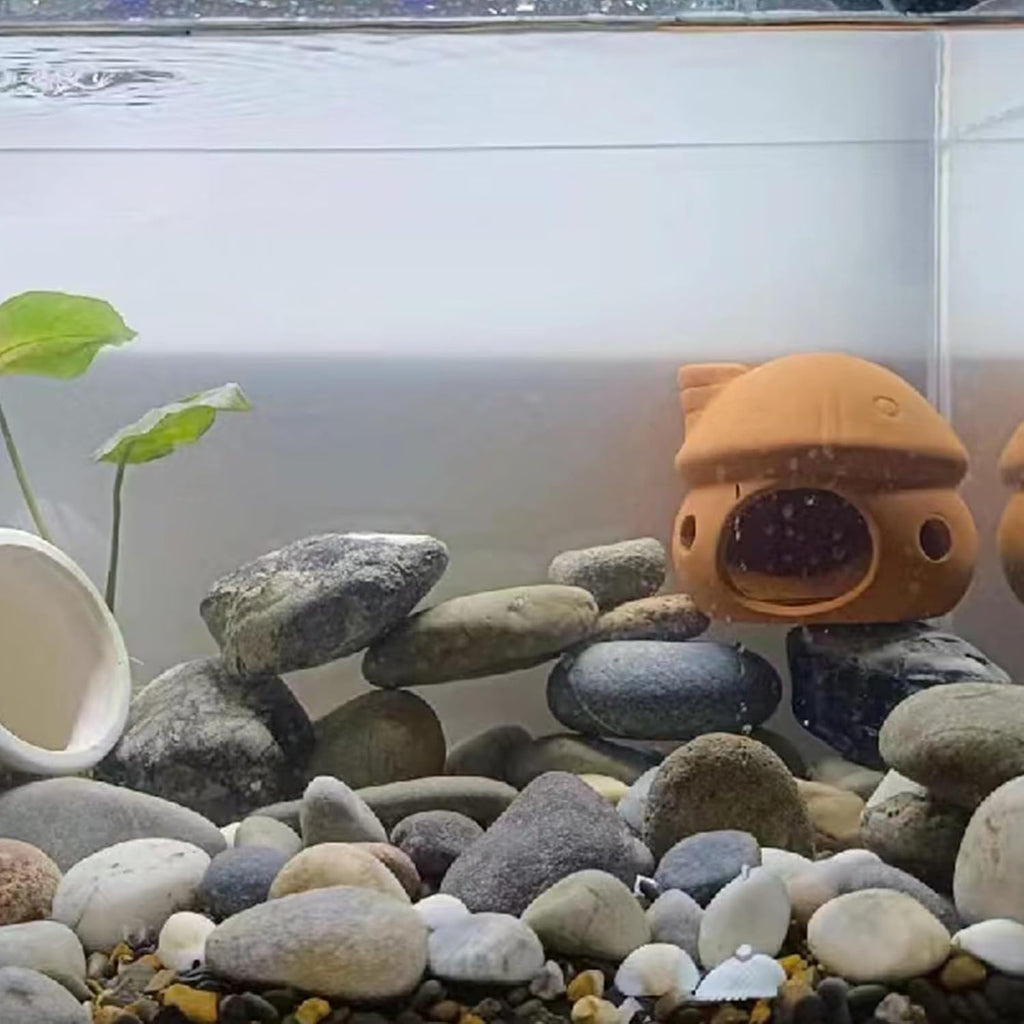 Natural River Rocks, 2-3 Inch River Rocks for Landscaping, Mixed Colors Stones for Plants, Flower Beds, Indoor Fountains, Gardens, Paths, Backyards, Fish Tank and Plantations(40lbs Bulk)