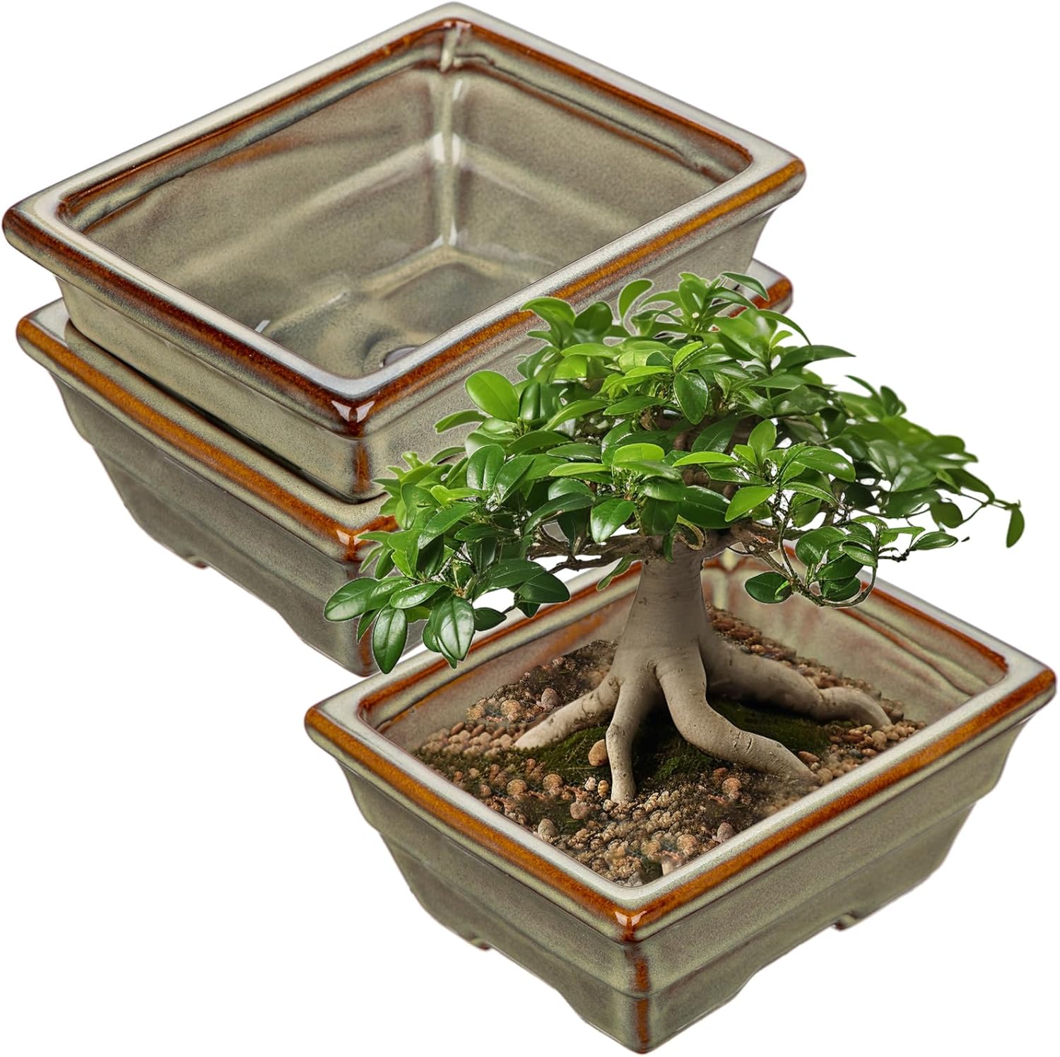 Ceramic Bonsai Pots with Drainage Hole, Set of 2 Rectangular Glazed Bonsai Planters for Indoor/Outdoor Use, Shallow Brown Bonzai Tree Pots for Succulent, Orchids, Cacti, Home, Patio, Garden, 6.3"x4.9"