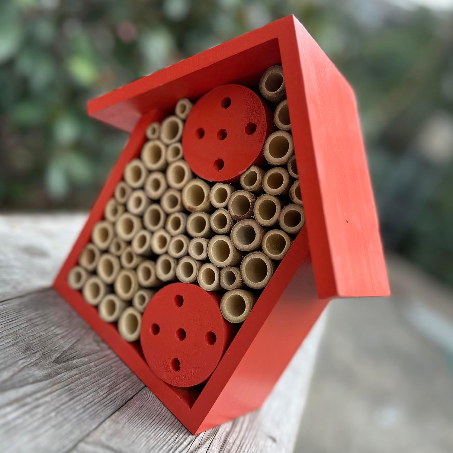 Mason Bee Houses Outdoor Wooden Bee Hotel for Garden and Yard Hand-Made Bamboo Bee Hive for Bees Butterflies and Ladybugs, Medium Size 8"x7.5"x5", Red