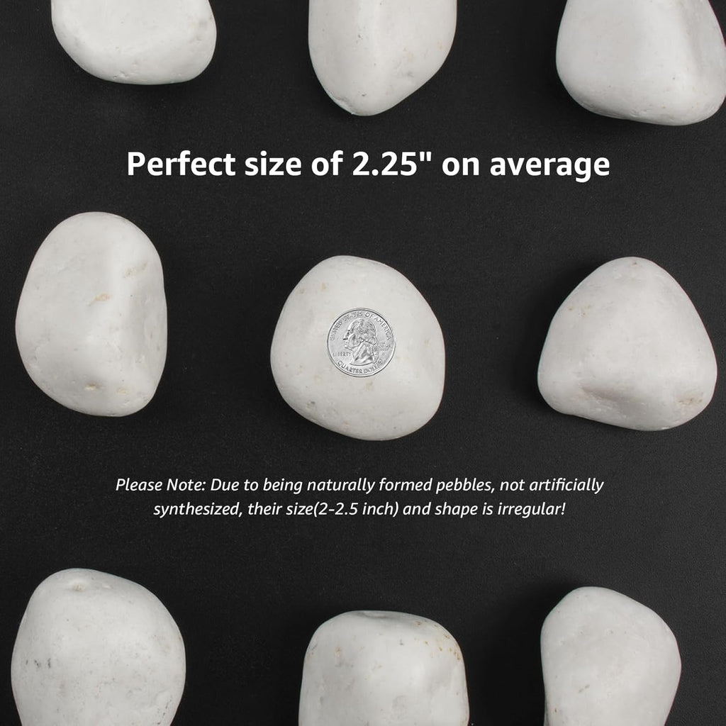 10lbs White Natural River Rocks, Polished Pebbles for Plants Garden, 2-3 inch Decorative White Stones, Ideal for Fish Tank, Vases, Crafting, Home Decor and Garden Landscaping Rocks