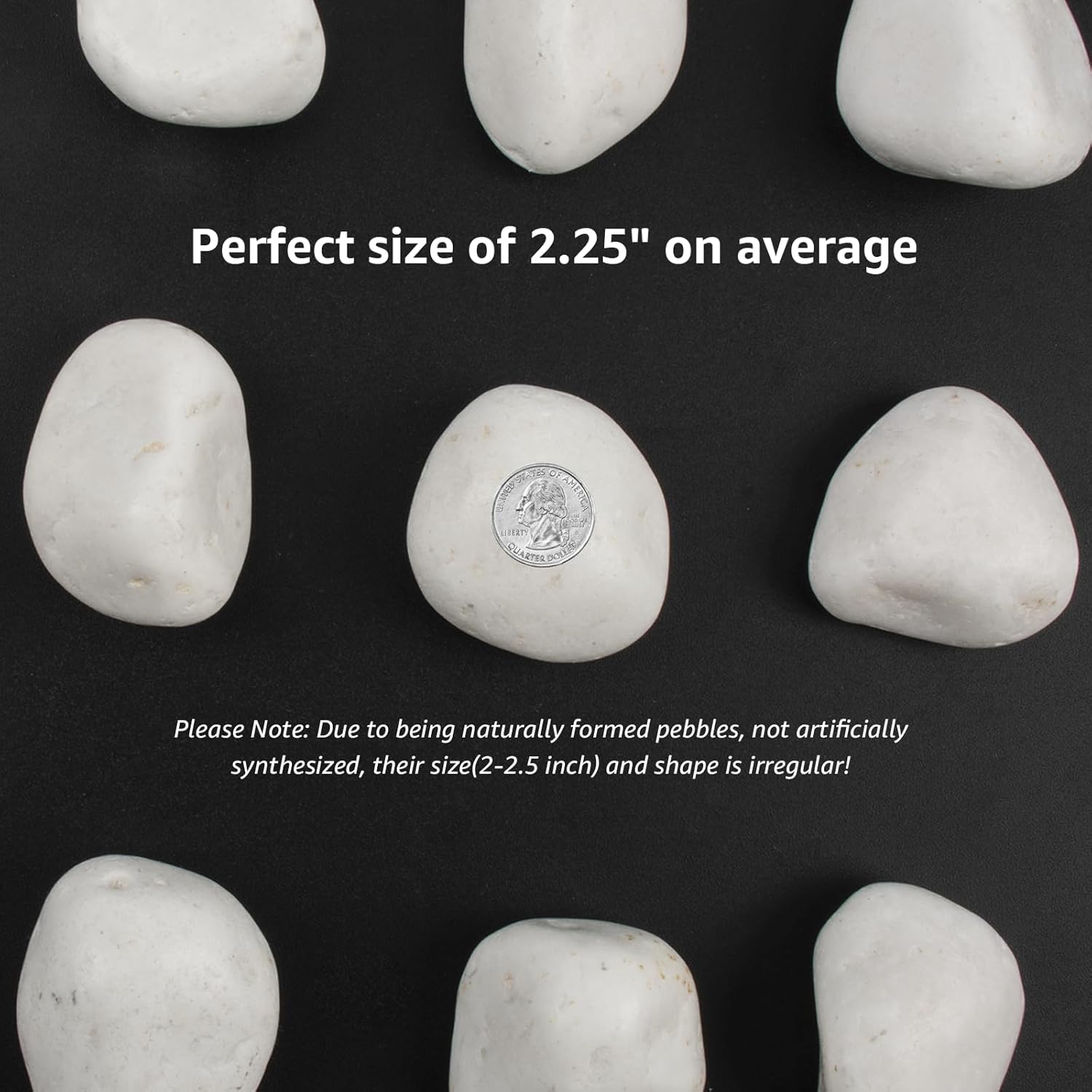 10lbs White Natural River Rocks, Polished Pebbles for Plants Garden, 2-3 inch Decorative White Stones, Ideal for Fish Tank, Vases, Crafting, Home Decor and Garden Landscaping Rocks