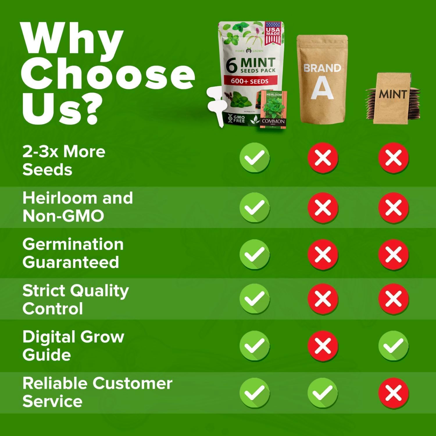 6 Mint Varieties – 600+ Heirloom Herb Seeds 𝗡𝗢𝗡-𝗚𝗠𝗢 𝗨𝗦𝗔 Peppermint, Spearmint, Mountain, Wild, Anise Hyssop, Common Mint | Indoor Outdoor Garden, Pots, Tea, Medicinal Use